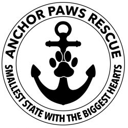 Anchor Paws Rescue